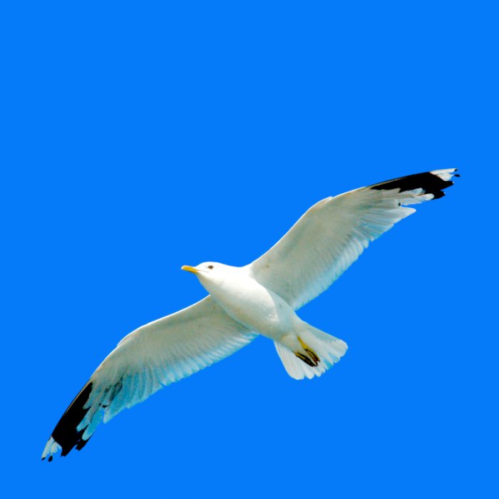 Foto innovative Badbeleuchtung