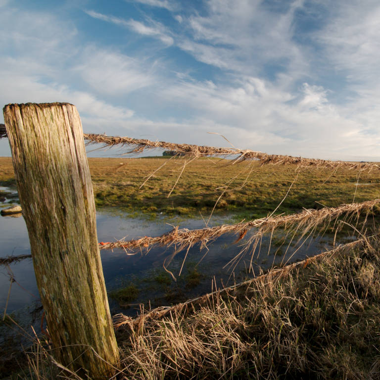Weidezaun mit Seegras auf Hallig